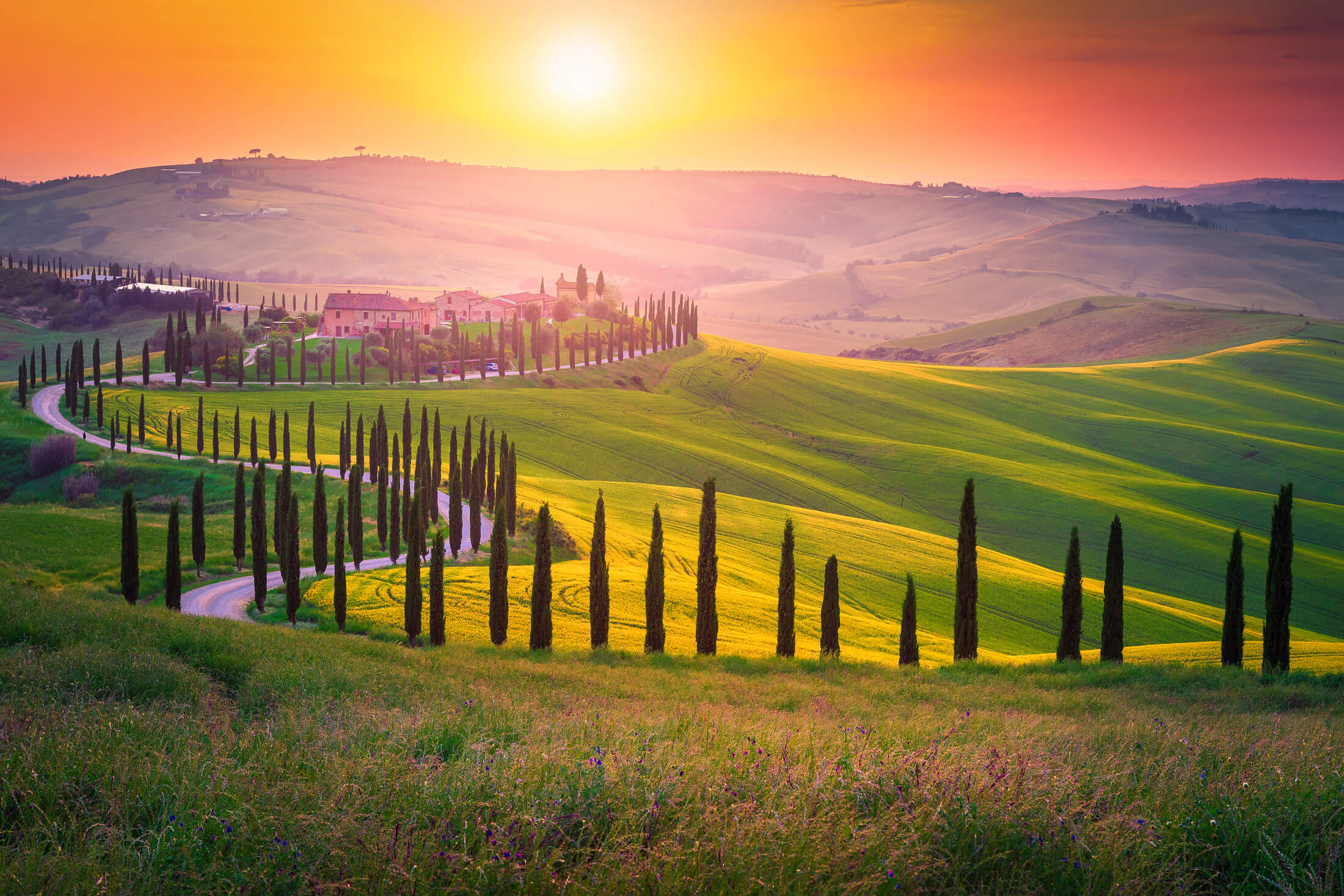 Solnedgang i Toscana, Italia, med en vei flankert av sypresser