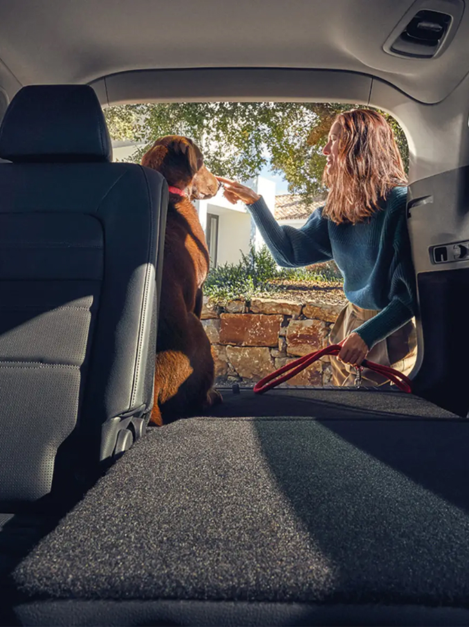 Innvendig bilde av en bil som viser et panoramatak i glass som slipper inn blå himmel og sollys, med skinnforseter og nakkestøtter opplyst av naturlig lys.