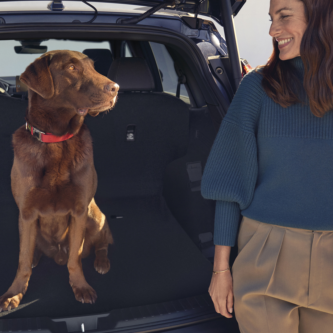 Honda CR-V Plug-in Hybrid sett bakfra med hund og modell sittende i bagasjerommet.