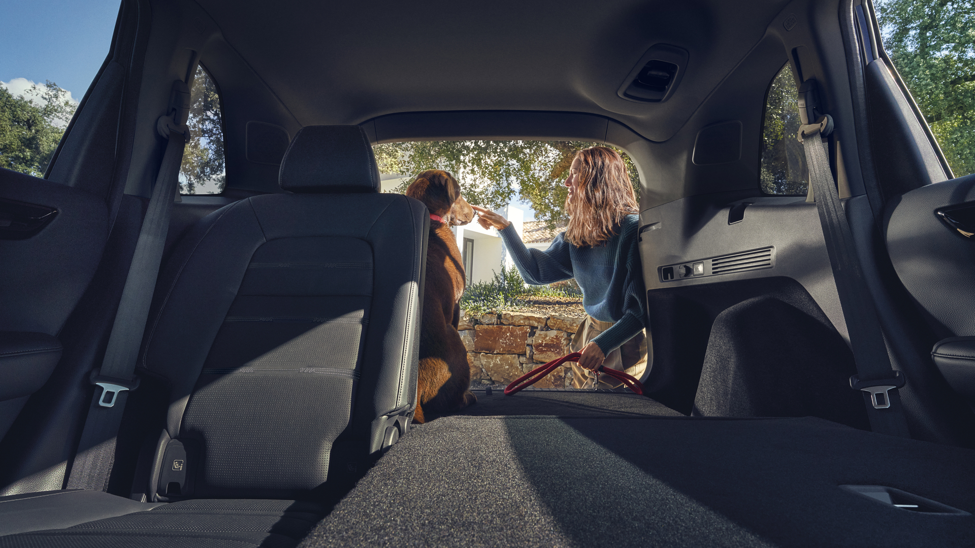 Honda CR-V Plug-in Hybrid sett bakfra med nedfelte bakseter og en hund i bagasjerommet.